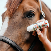 Leovet Power Phaser Roll On (75ml)